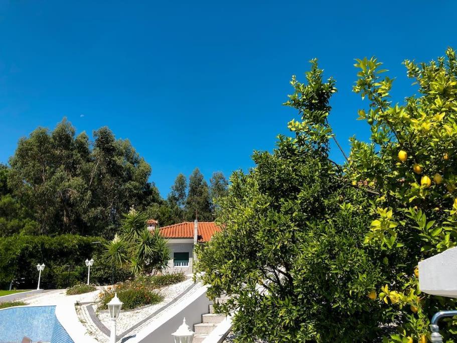 Maison Familiale De Caractere Avec Piscine Padronelo ภายนอก รูปภาพ